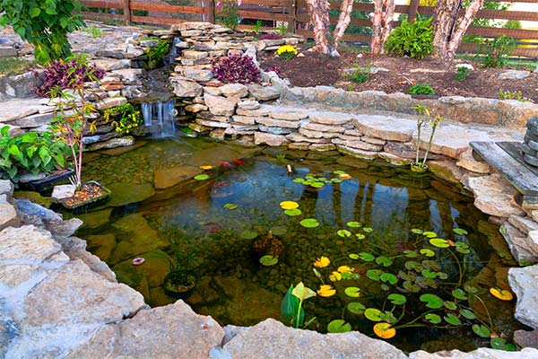 home pond